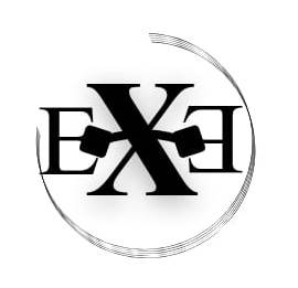 EXE FACTOR ANALYTICS HUB LLP